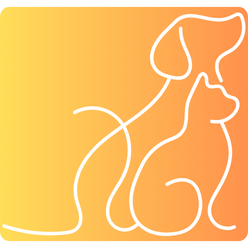 Janke, pet sitting, paarl