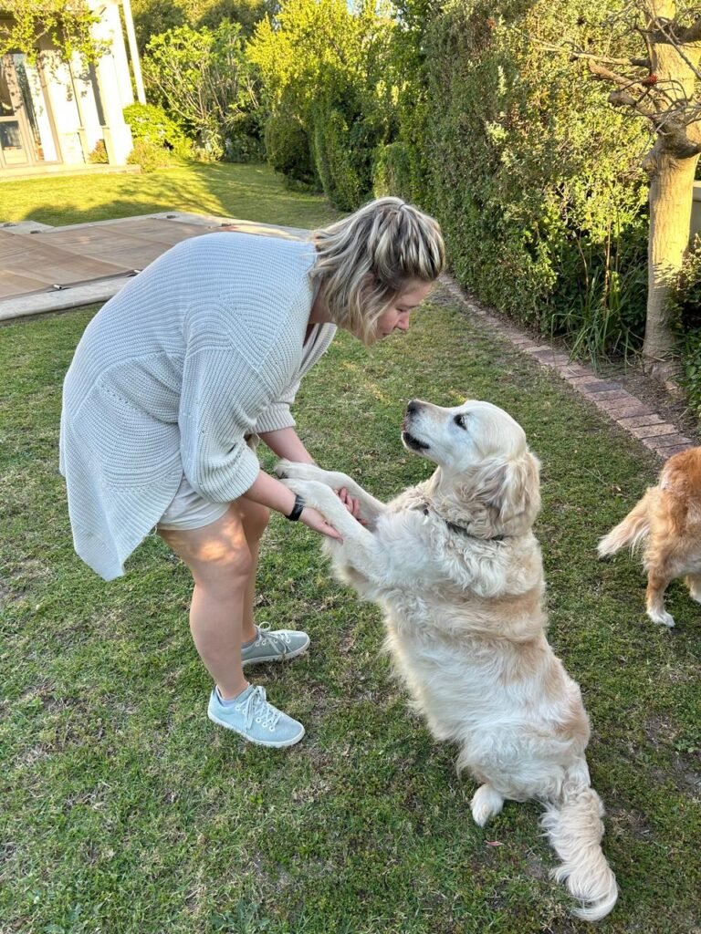 Pet sitting dog. Daily visits and walks.