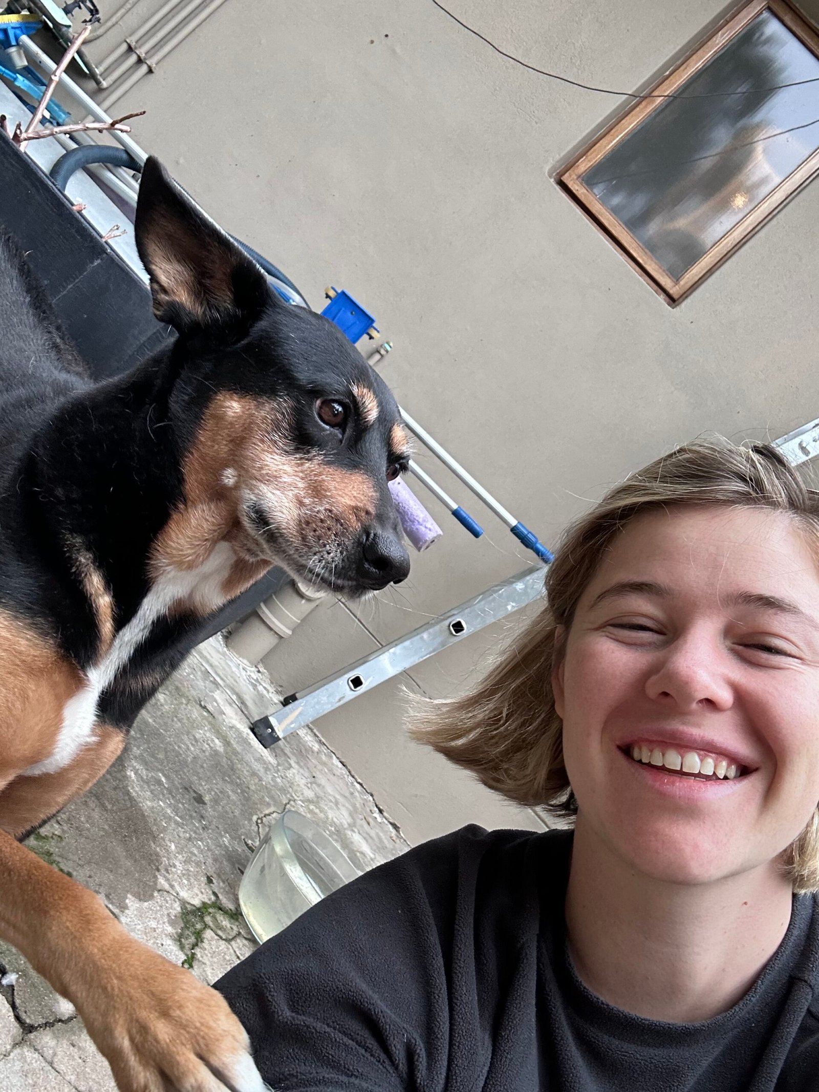 Pet sitter Paarl